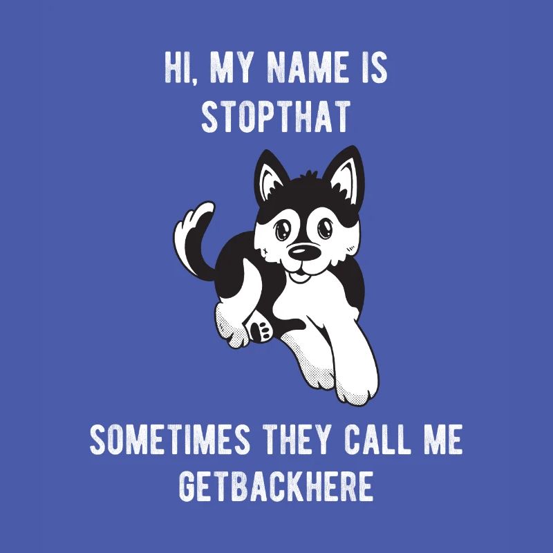 Mon nom est Stopthat Getbackhere Pomsky Hyper Dog