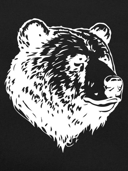 Bear Grizzly Head