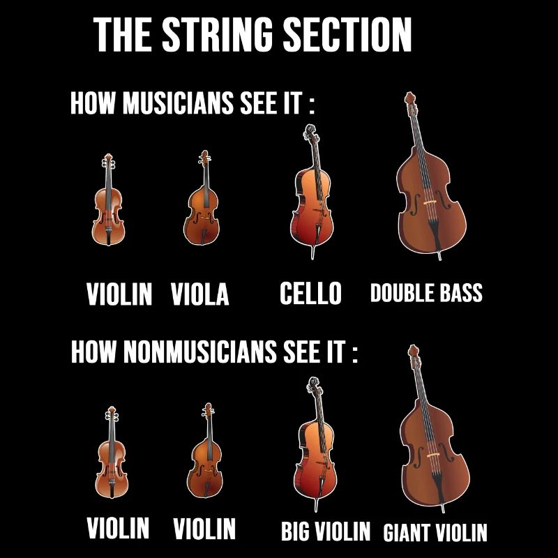 String Section-Ville Chef d’orchestre cadeau