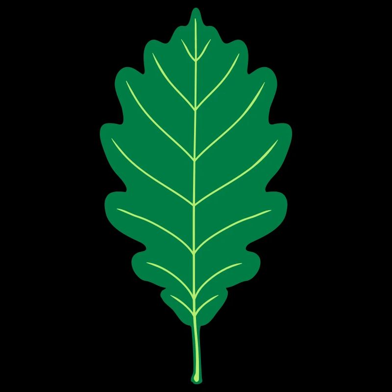 Oak Leaf