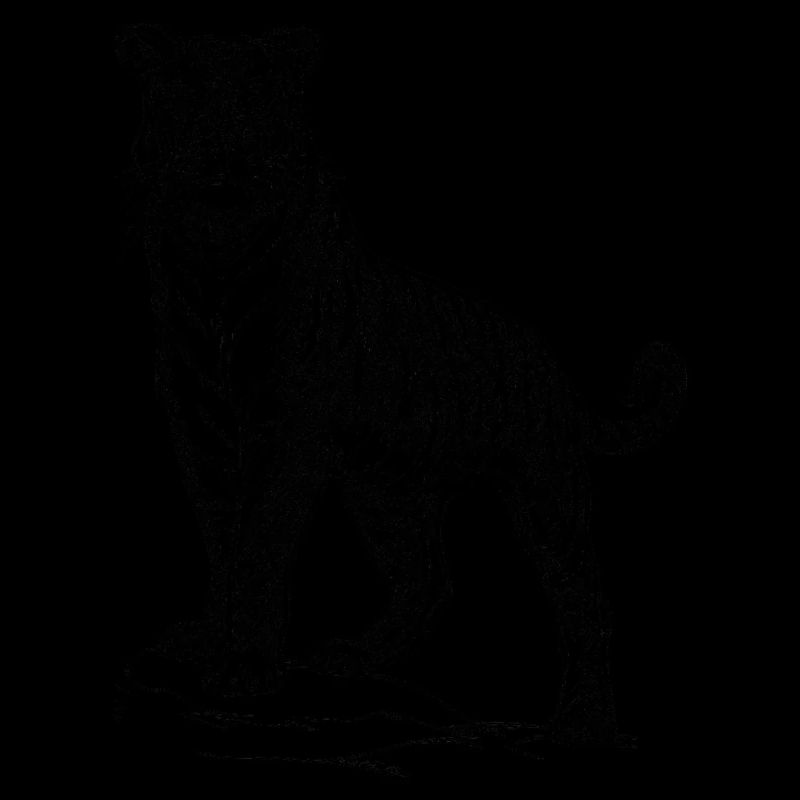 Tiger black and withe