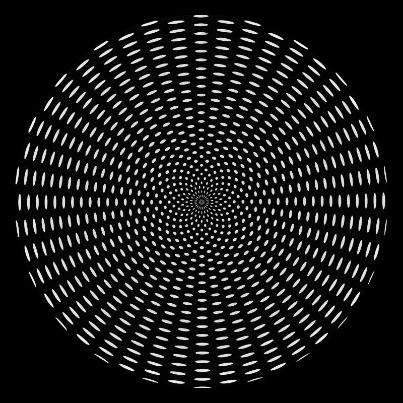 Optical Illusion Tunnel Gift