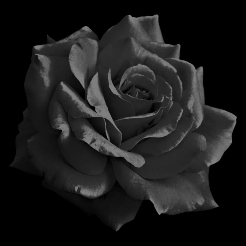Black Rose