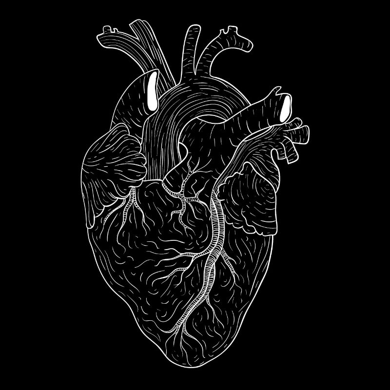 heart