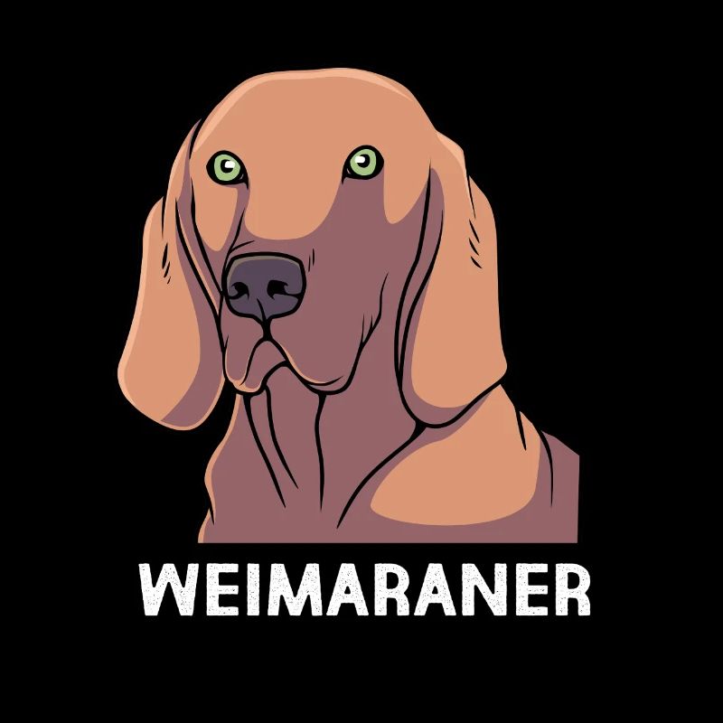 Weimaraner