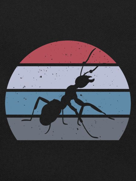 Ant