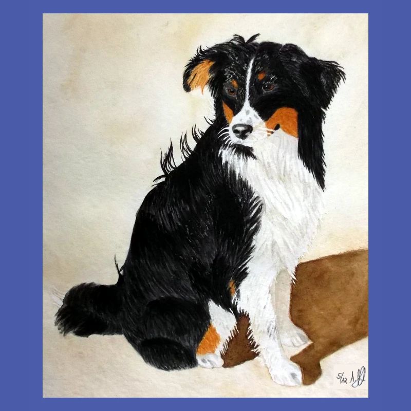 Sitzender Aussie Nanouk