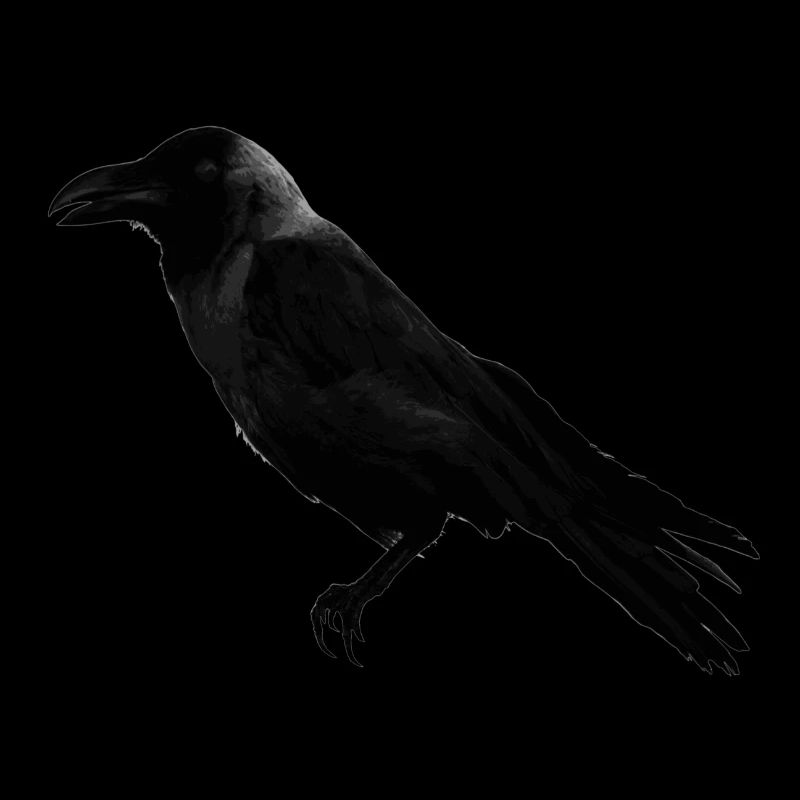 raven crow