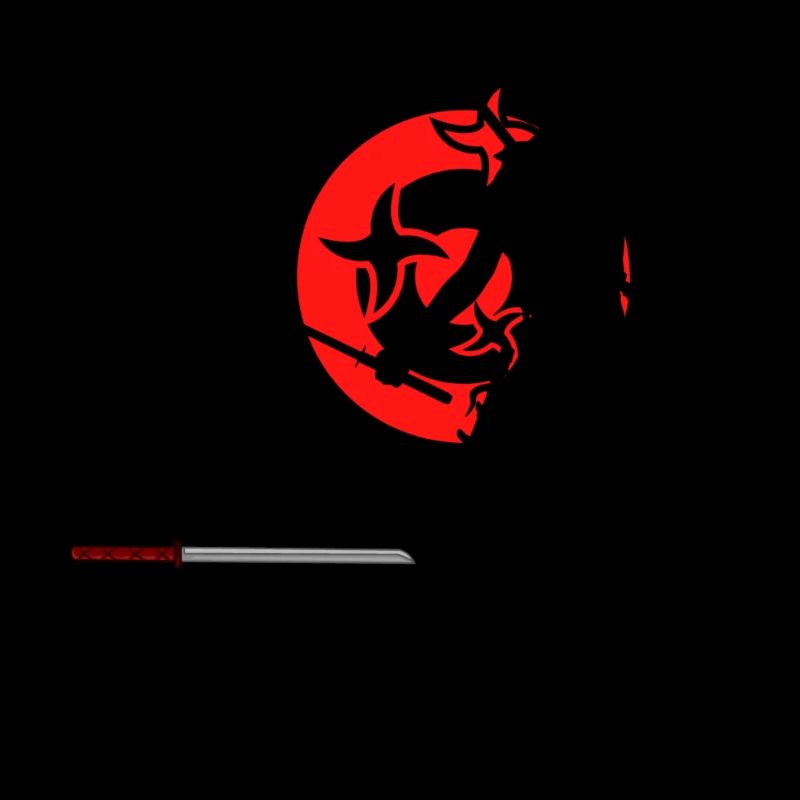 Ninja 2