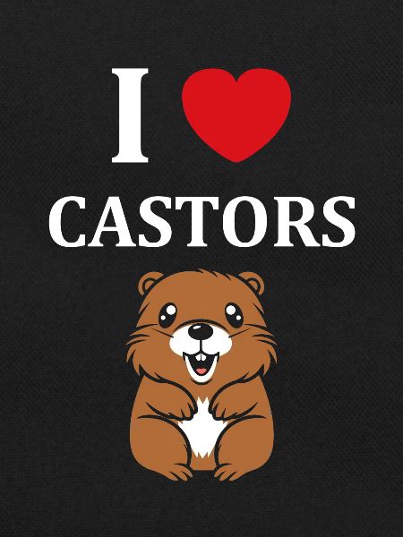 Humour petit castor