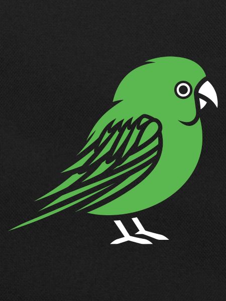 Cute little parakeet