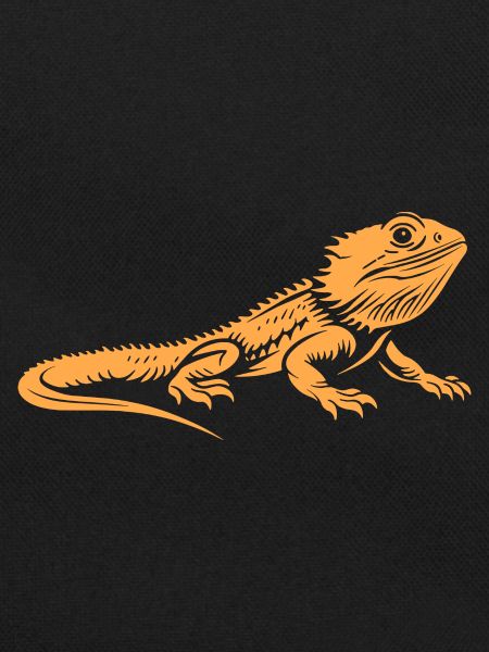 Bearded Dragon