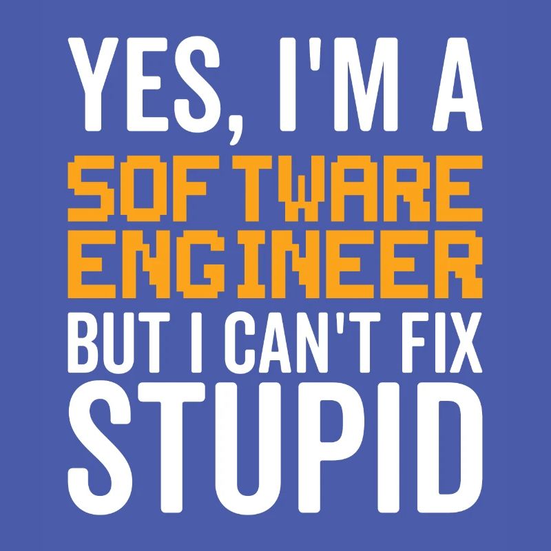 Stupid Software Engineer