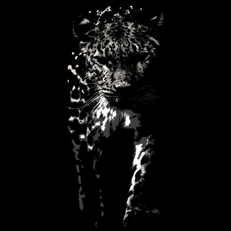 Snow leopard