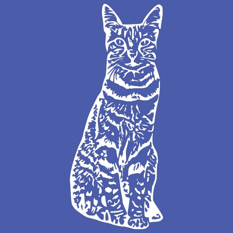 Chat chat chaton