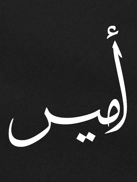 Amir Calligraphie Arabe Prénom