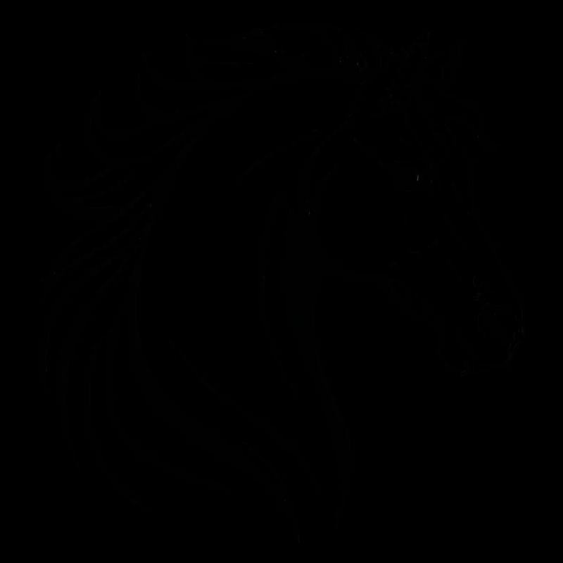 Illustration de cheval