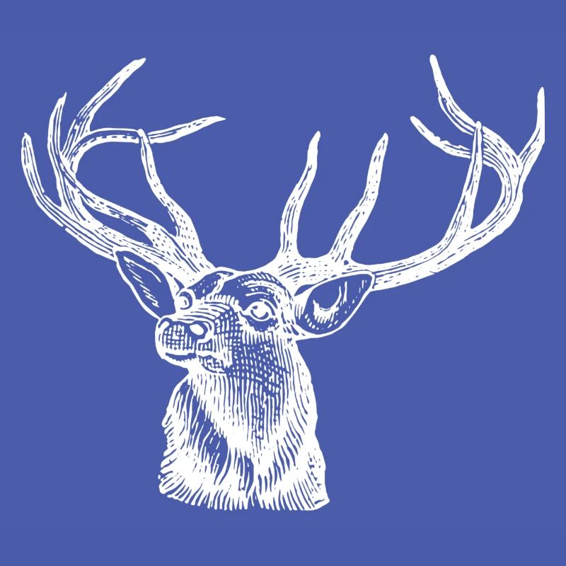 Hirsch Elch Geweih Hirschkopf Jäger