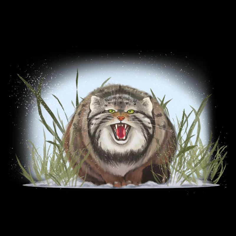 Manul n’aime pas caresser