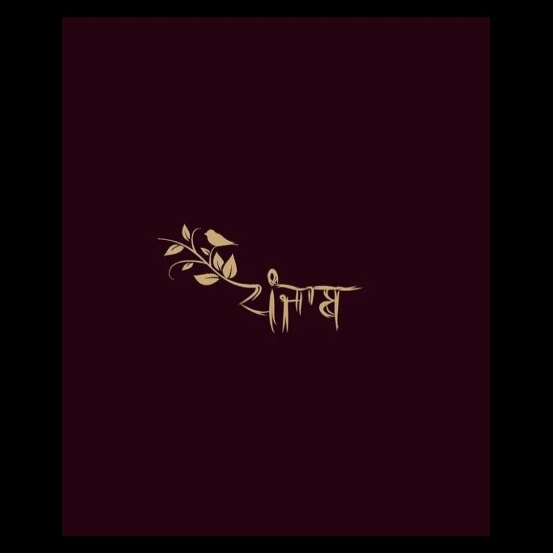 Punajb