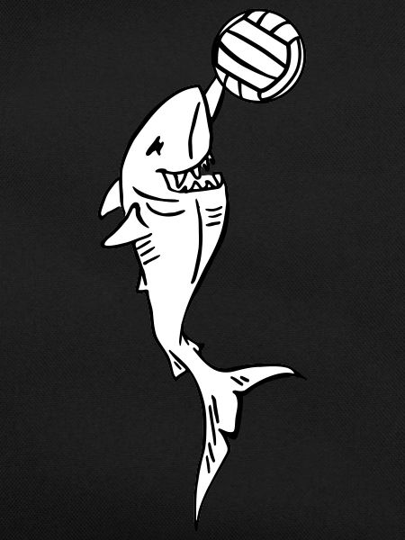 shark with volleyball
