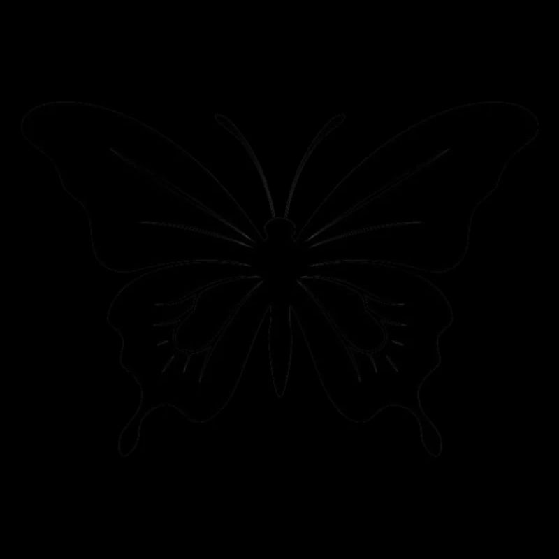 Papillon. papillon