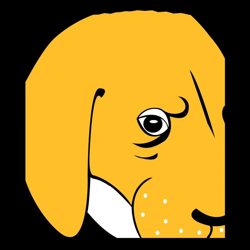 Chien