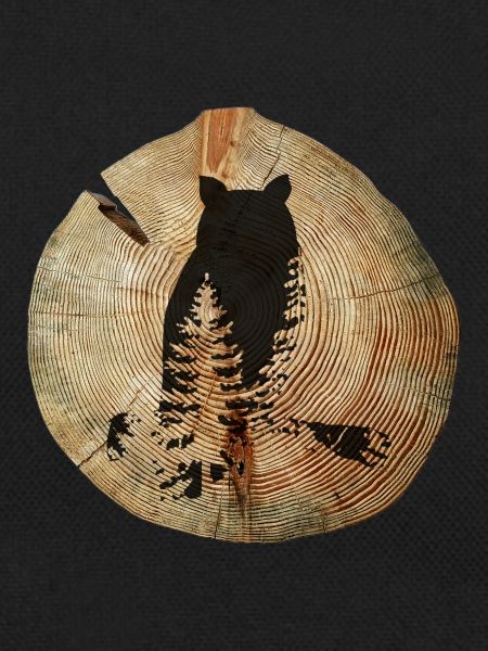 Tree Disc Owl