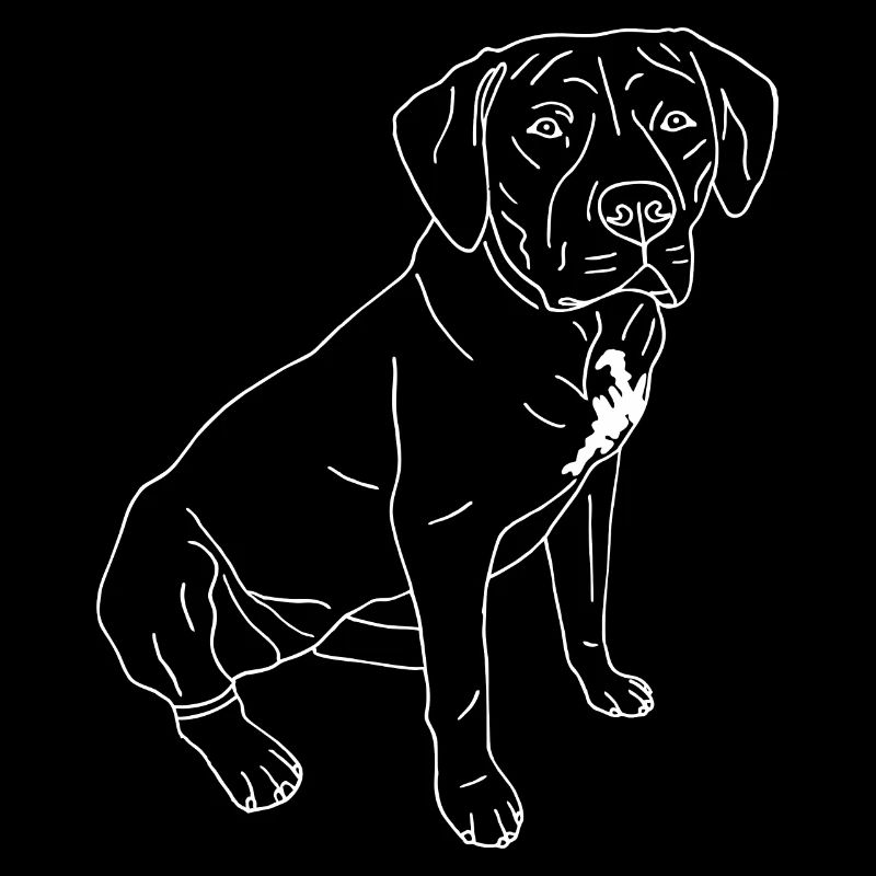 American Bully XL