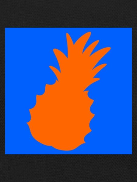 Pineapple Logo