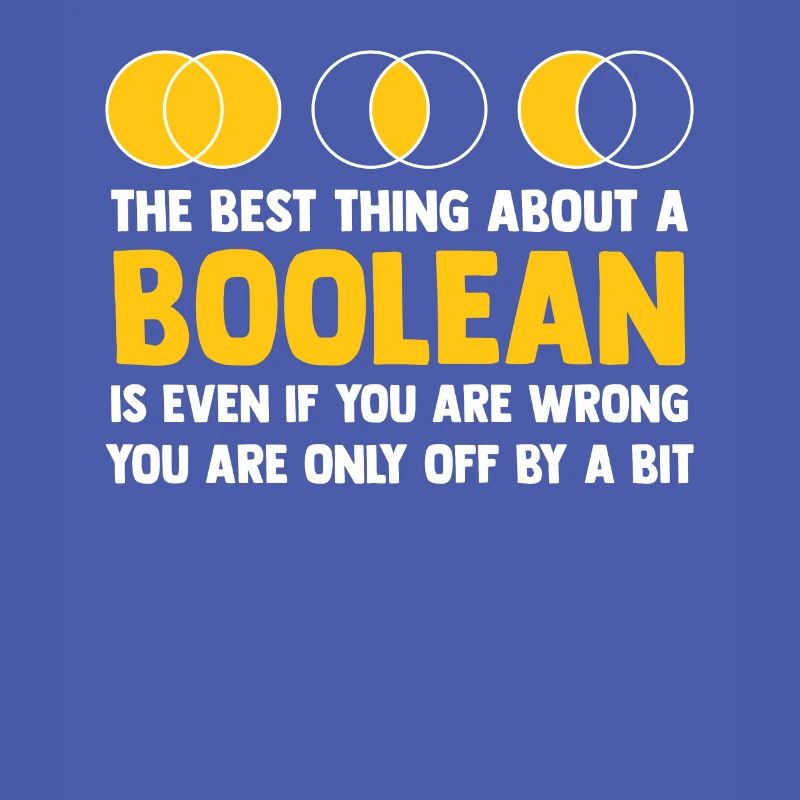 Programmer Coder Software Developer