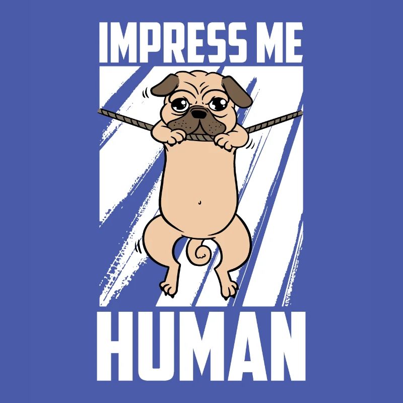 Mops Hund