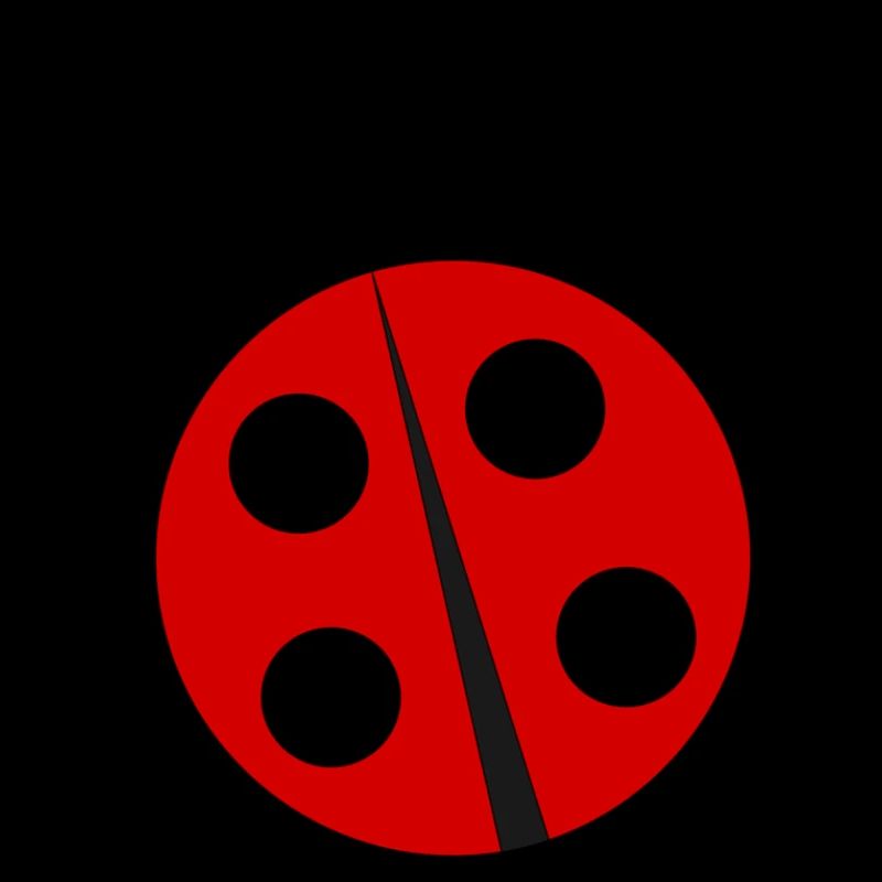 Marienkäfer