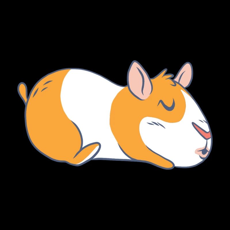 Cochon d'Inde cochon d'Inde