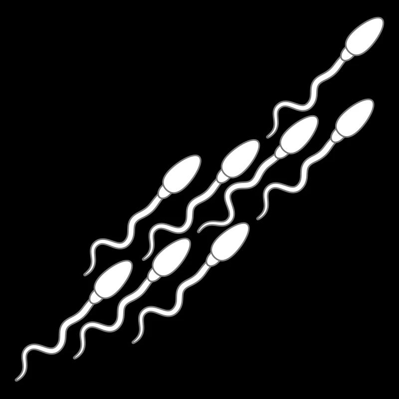 modèle sperme sperme enceinte sperme éjaculation