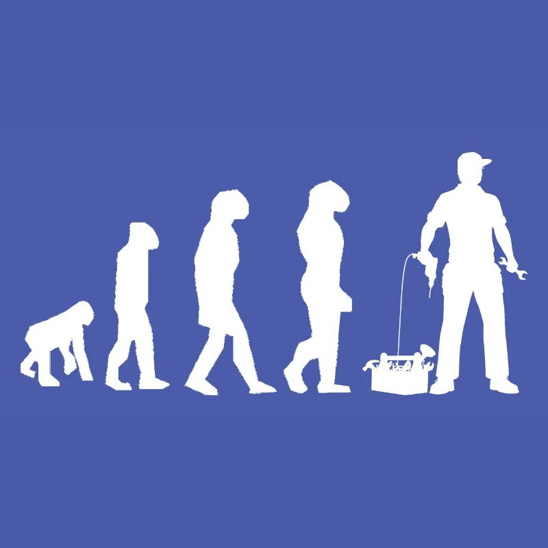 évolution bricoleur