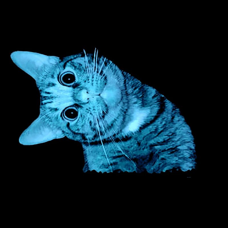lächelnde Katze