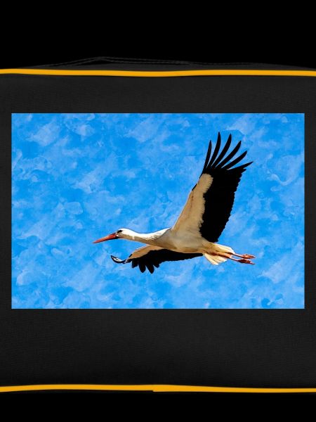 Storch im Flug