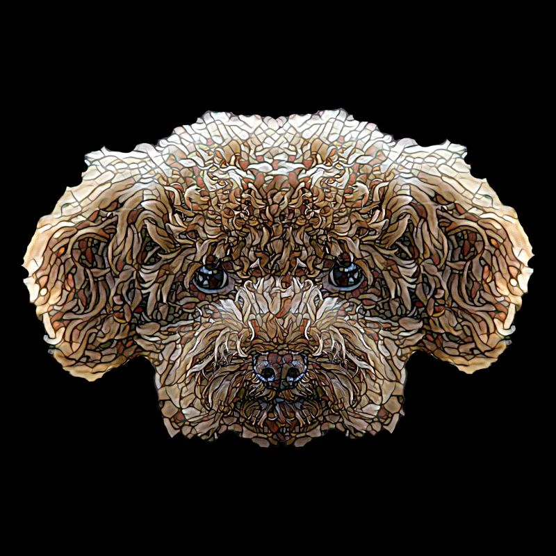 Visage de caniche jouet