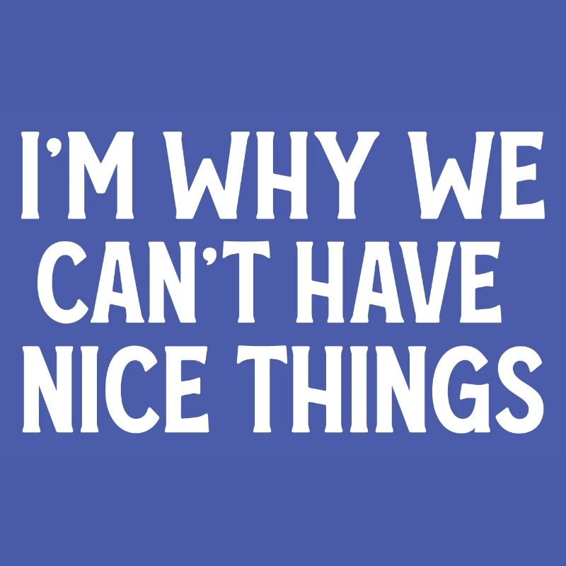 I'm Why We Can't Have Nice Things Funny Sarcastic
