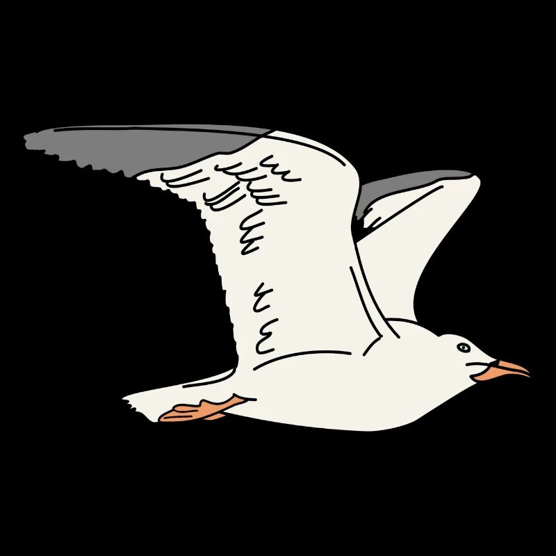 Möwe