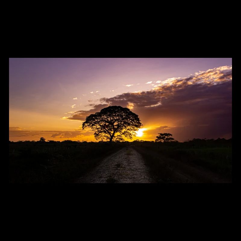 exotic sunset in Venezuela