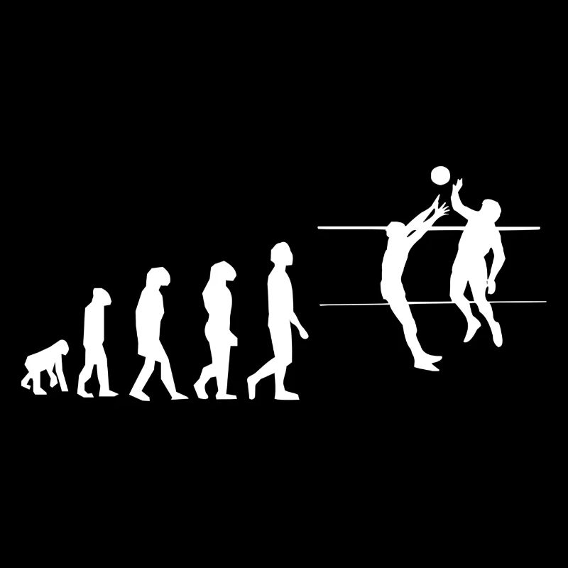 Volley évolution