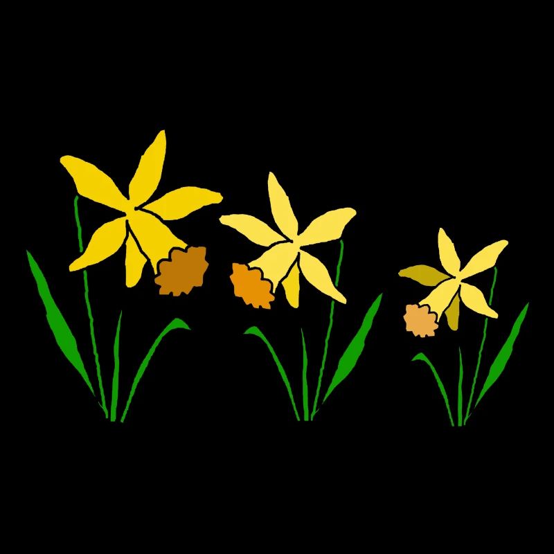 Daffodil Flowers Spring