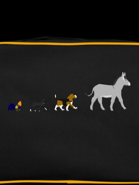 Chien, chat, coq, âne