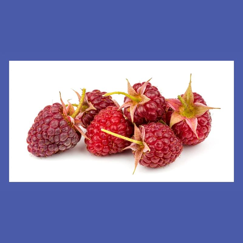 Raspberry. Raspberry