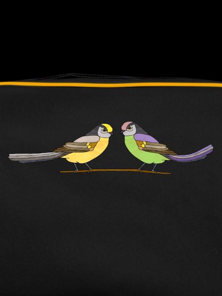 Birds