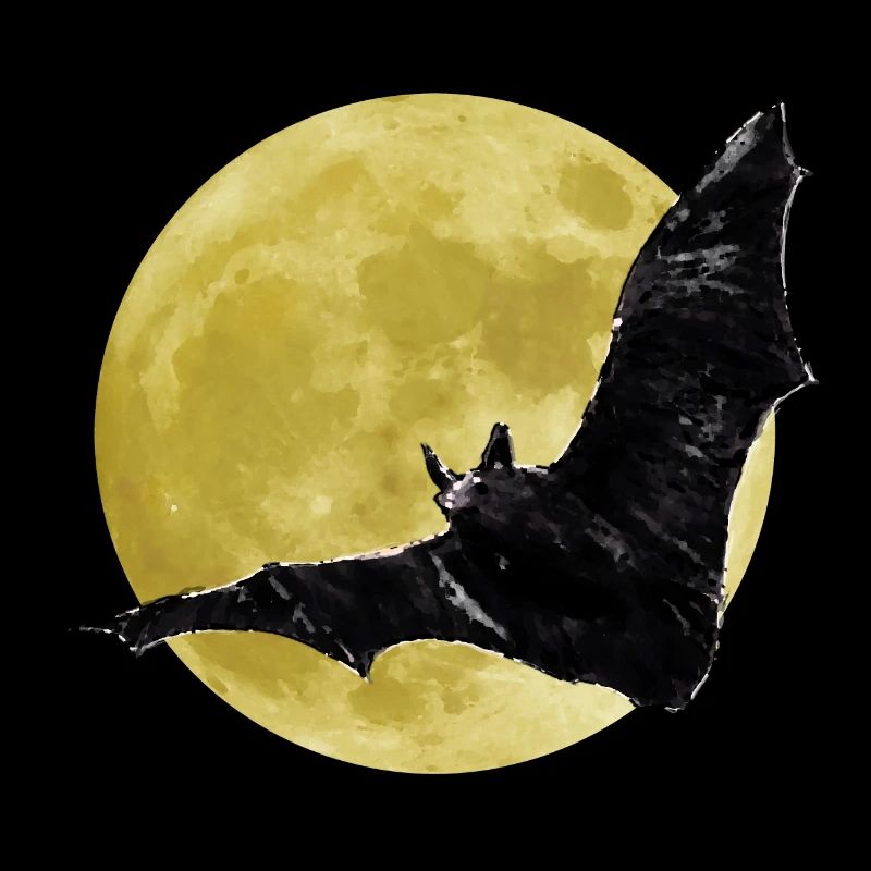 Bat Moonlight Moon Mystic Bat Night