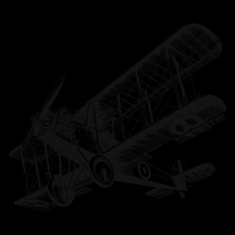 Doppeldecker Flugzeug