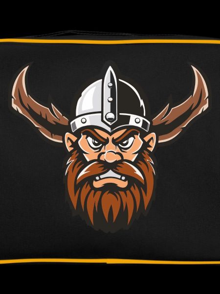 Vikings 1